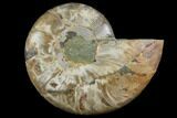 Agatized Ammonite Fossil (Half) - Crystal Chambers #111490-1